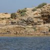 Marsala_2012 (309)